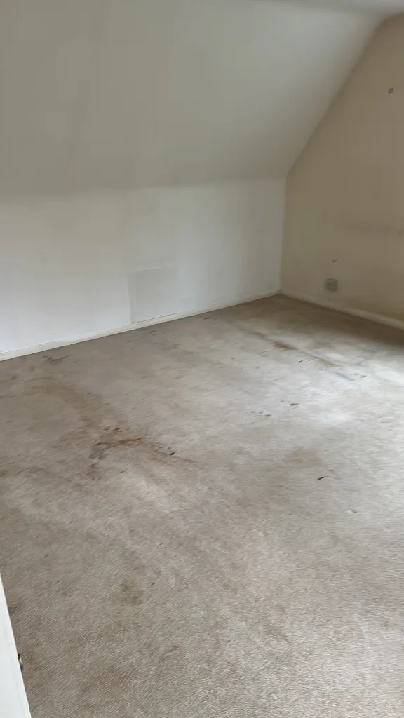 An empty room after using a clearance service