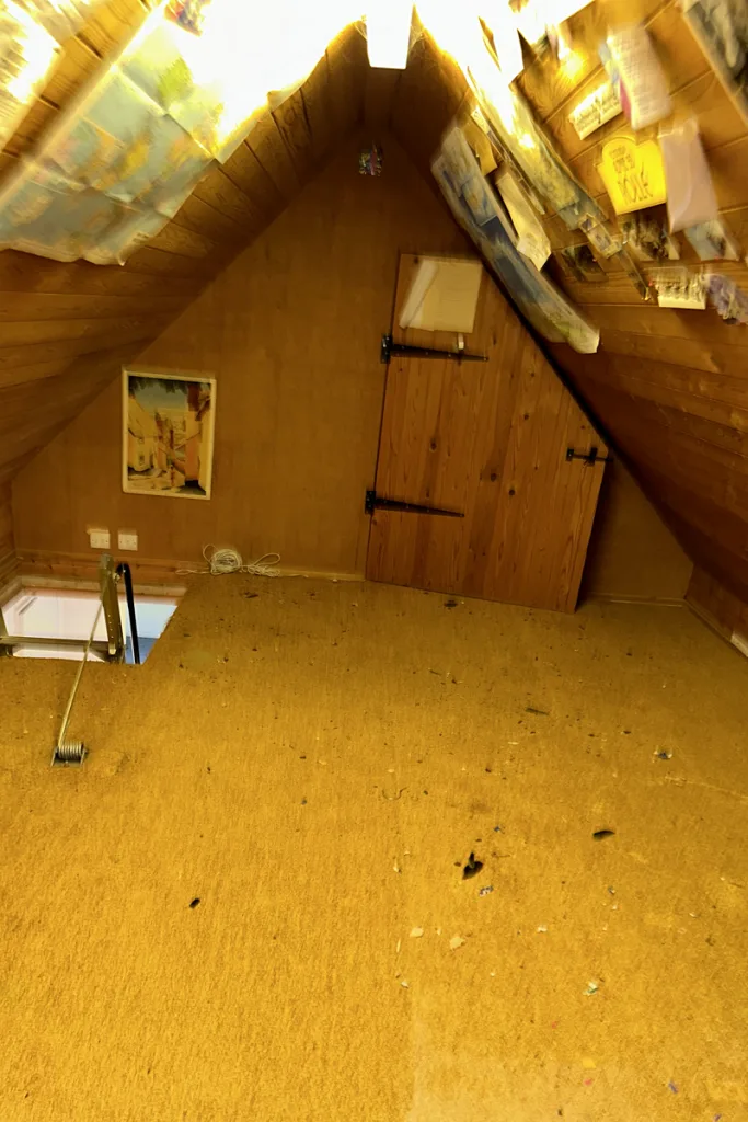Organise-Your-Loft